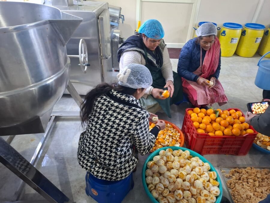 वेस्ट टू वेल्थ मॉडल बना महिलाओं की आय का सहारा, माल्टा के छिलकों से तैयार हो रहे हर्बल उत्पाद, पहाड़ की महिलाओं के लिए बन रहा आत्मनिर्भरता की नयी पहचान