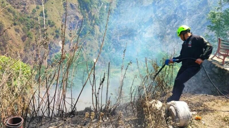 ज्योतिर्मठ के जीरोबैंड क्षेत्र में जंगल में लगी आग