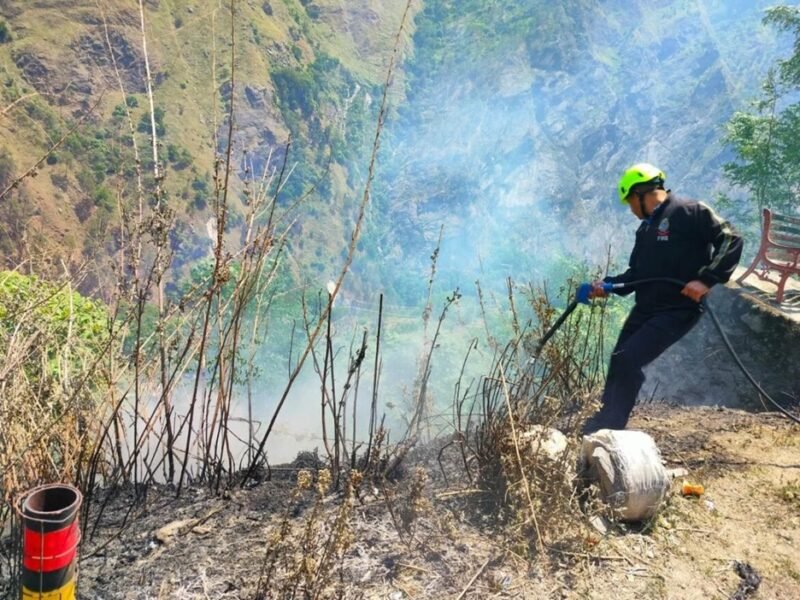 ज्योतिर्मठ के जीरोबैंड क्षेत्र में जंगल में लगी आग
