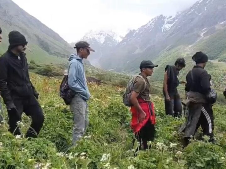 फूलों की घाटी में पर्यटकों का रिकॉर्ड आगमन, 17 दिन में पहुंचे 3628 सैलानी