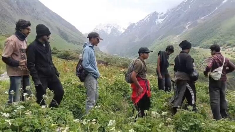 फूलों की घाटी में पर्यटकों का रिकॉर्ड आगमन, 17 दिन में पहुंचे 3628 सैलानी