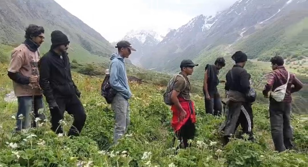 फूलों की घाटी में पर्यटकों का रिकॉर्ड आगमन, 17 दिन में पहुंचे 3628 सैलानी