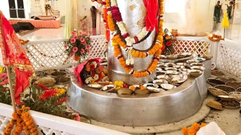 हरिद्वार में 5211 किलो वजनी विश्व के विशाल पारद शिवलिंग की प्राण प्रतिष्ठा सम्पन्न, 2000 से अधिक श्रद्धालु हुए शामिल