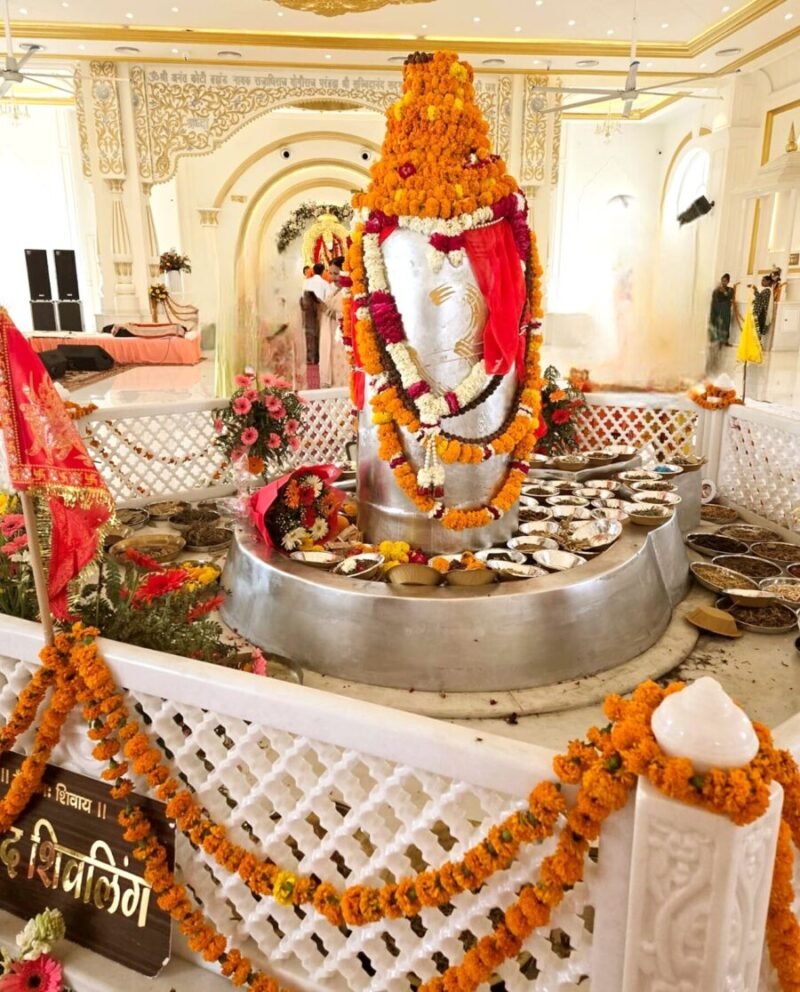 हरिद्वार में 5211 किलो वजनी विश्व के विशाल पारद शिवलिंग की प्राण प्रतिष्ठा सम्पन्न, 2000 से अधिक श्रद्धालु हुए शामिल