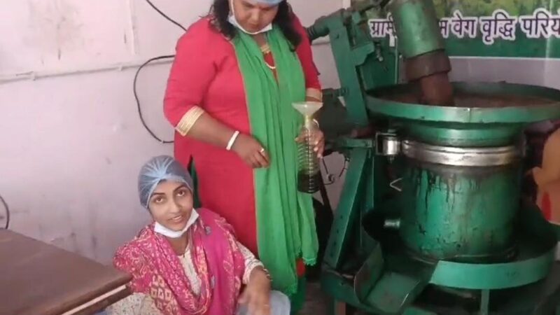 कालसी की महिलाओं ने लिखी आत्मनिर्भरता की नई कहानी, सरसों तेल यूनिट बनी ग्रामीण उद्यमिता का मॉडल, हिलान्स ब्रांड का सरसों तेल बाजार में बना भरोसेमंद नाम