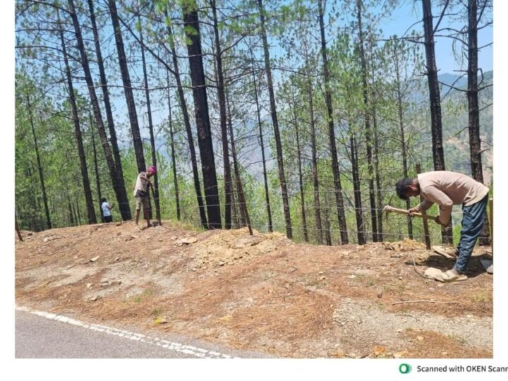 अतिक्रमणकारियों पर प्रशासन की सख्ती, कई स्थानों से सरकारी भूमि कराई मुक्त; डीएम स्वाति एस. भदौरिया ने कहा – राजकीय भूमि को अतिक्रमण मुक्त कराने के लिए निरंतर जारी रहेगा अभियान 
