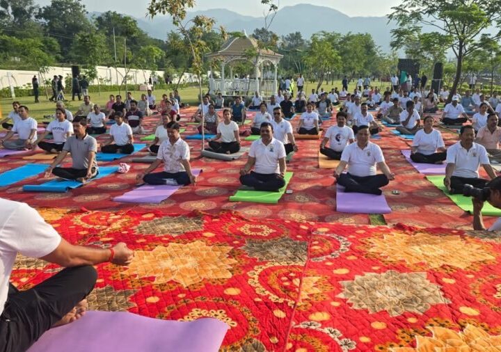 योग की छांव में विकास का संकल्प, एमडीडीए सिटी फॉरेस्ट पार्क बना स्वास्थ्य और प्रकृति का महाकुंभ, मुख्य सचिव संग हजारों लोगों ने किया योग