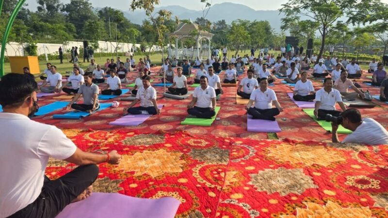 योग की छांव में विकास का संकल्प, एमडीडीए सिटी फॉरेस्ट पार्क बना स्वास्थ्य और प्रकृति का महाकुंभ, मुख्य सचिव संग हजारों लोगों ने किया योग