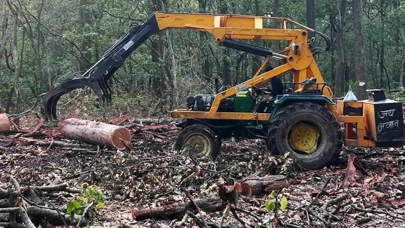 उत्तराखण्ड: जनभावनाओं का सम्मान, देहरादून-ऋषिकेश के बीच पेड़ों की कटाई पर रोक
