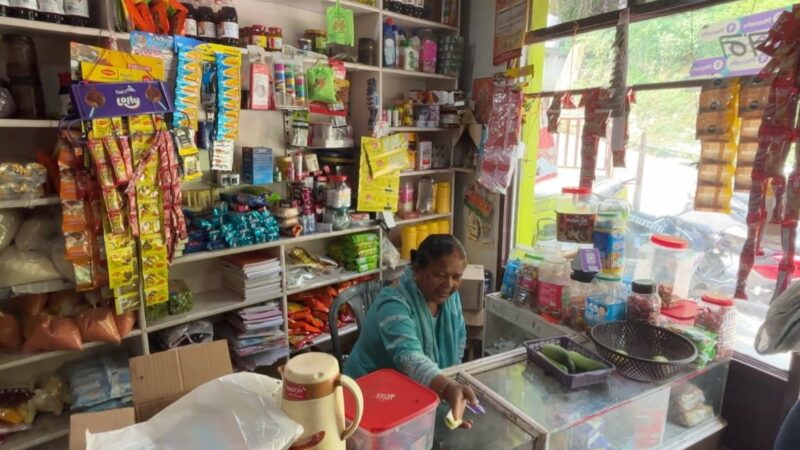 लखपति दीदी योजना बनी ग्रामीण महिलाओं की आर्थिक ताकत, पौड़ी में 33700 से अधिक महिलाएं हुईं सशक्त