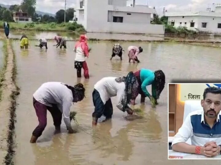 विलुप्त होती दून बासमती की खुशबू फिर लौटेगी; मुख्यमंत्री के संकल्प, जिला प्रशासन की पहल और किसानों की मेहनत से पारंपरिक बासमती के पुनर्जीवन की जगी उम्मीद