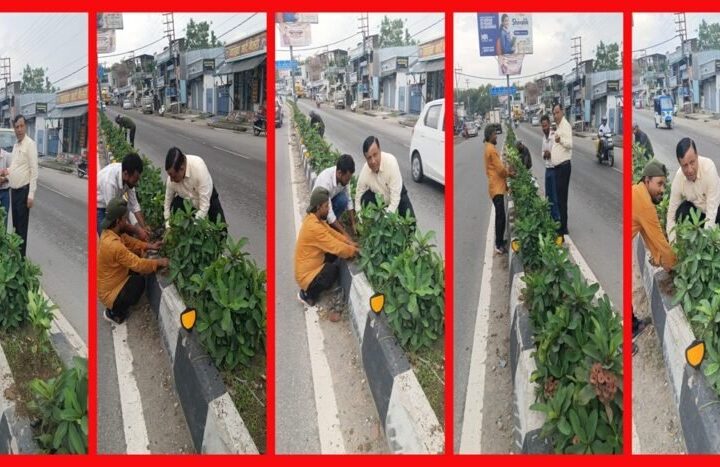 सीएम धामी के विजन को मिली रफ्तार, IAS बंशीधर तिवारी के नेतृत्व में हरा-भरा हो रहा दून, कार्यालय जाते समय पौधरोपण अभियान पर पड़ी नजर तो रुककर परखी हरियाली की जमीनी हकीकत