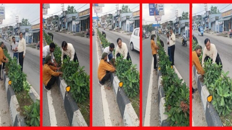 सीएम धामी के विजन को मिली रफ्तार, IAS बंशीधर तिवारी के नेतृत्व में हरा-भरा हो रहा दून, कार्यालय जाते समय पौधरोपण अभियान पर पड़ी नजर तो रुककर परखी हरियाली की जमीनी हकीकत