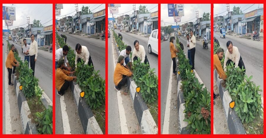 सीएम धामी के विजन को मिली रफ्तार, IAS बंशीधर तिवारी के नेतृत्व में हरा-भरा हो रहा दून, कार्यालय जाते समय पौधरोपण अभियान पर पड़ी नजर तो रुककर परखी हरियाली की जमीनी हकीकत