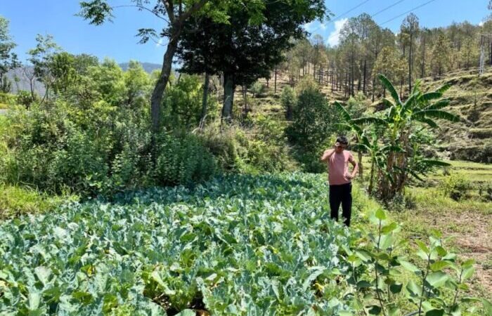 पहाड़ में समृद्धि की नई इबारत : आधुनिक खेती से स्वरोजगार और आत्मनिर्भरता की मिसाल बने पौड़ी के नरेश भट्ट