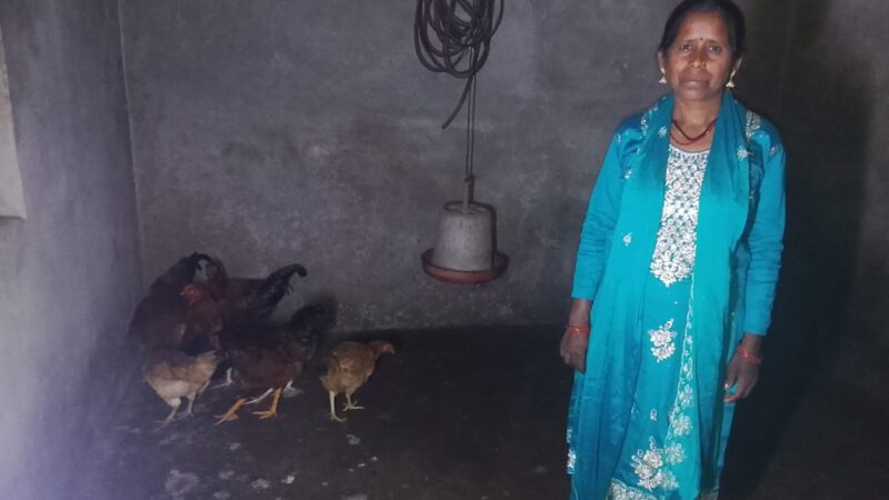 REAP परियोजना से बदली चैतादेवी की तकदीर, पोल्ट्री फार्मिंग से बनीं आत्मनिर्भरता की मिसाल