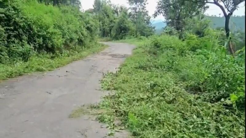 आपदा मद से ग्राम पंचायतों को मिली मशीनें, संपर्क मार्गों की भी हो रही नियमित सफाई