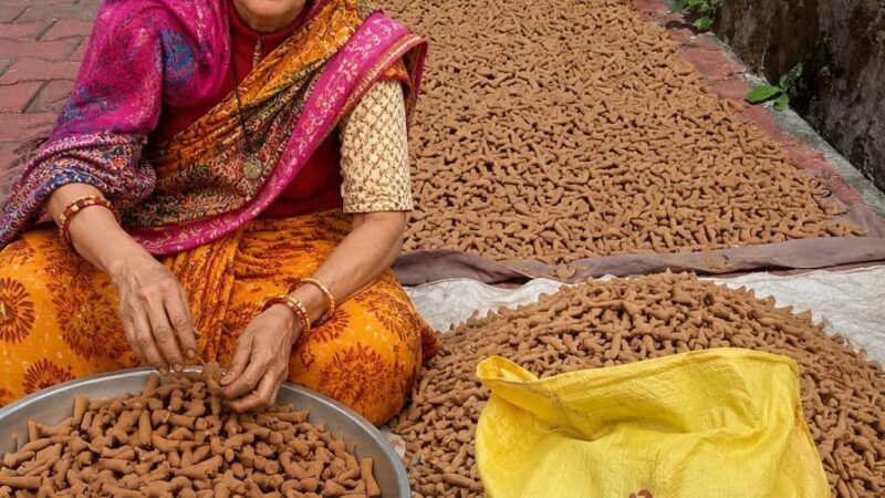 चमोली : भटियाणा गांव से निकली तपोवन की खुशबू, नंदी देवी ने अगरबत्ती-धूपबत्ती के कारोबार से रचा आत्मनिर्भरता का मॉडल