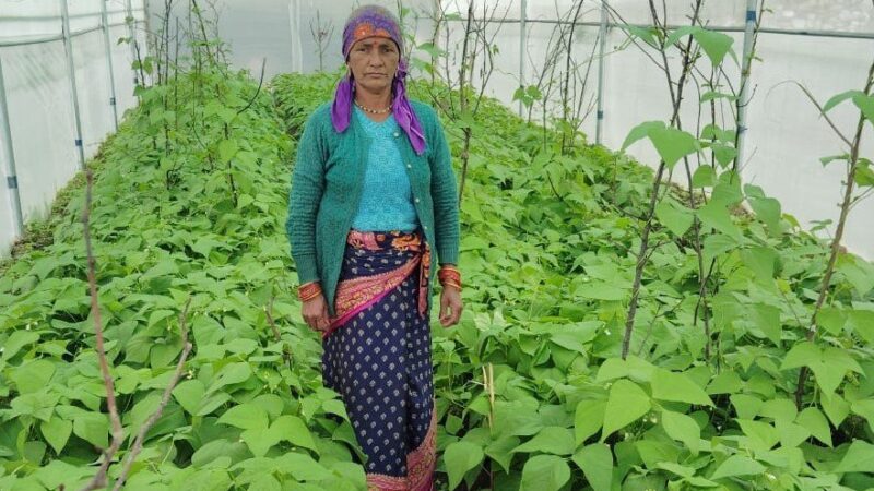 इंटीग्रेटेड फार्मिंग से आत्मनिर्भर बनीं सत्येश्वरी देवी, सीएम ने किया सम्मानित