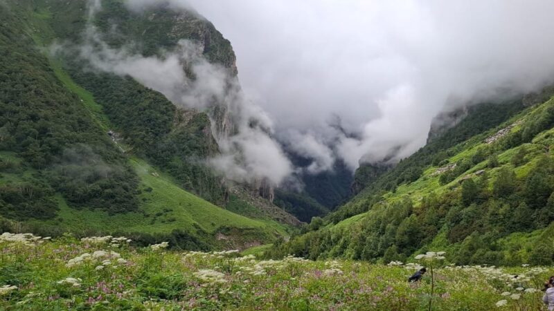 मानसून की फुहारों से निखरी विश्व धरोहर फूलों की घाटी में पर्यटकों की बहार, सीजन में पहुंचे 18856 सैलानी