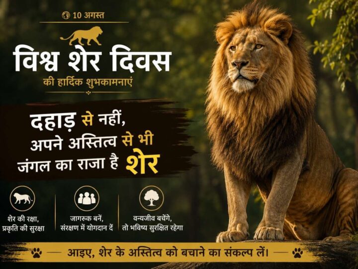 दहाड़ से नहीं, अपने अस्तित्व से भी जंगल का राजा है शेर