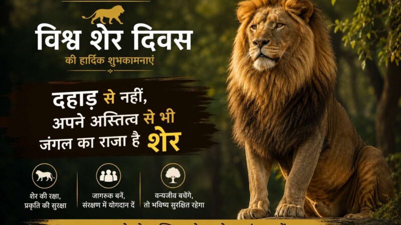 दहाड़ से नहीं, अपने अस्तित्व से भी जंगल का राजा है शेर