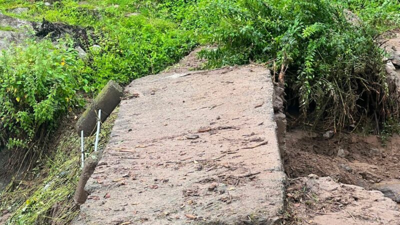 मूसलाधार बारिश से पैदल पुलिया को नुकसान