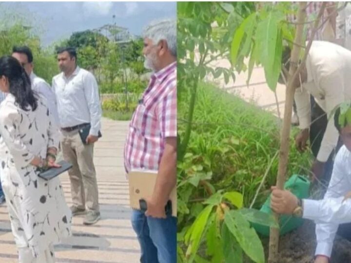 सीएम धामी के विजन को धरातल पर उतार रहा एमडीडीए, सिटी फॉरेस्ट के बाद मियांवाला में एक और पर्यावरणीय तोहफा