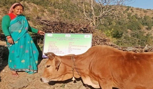 दूध बेचकर हर माह 12 हजार रुपये तक कमा रहीं लक्ष्मी देवी