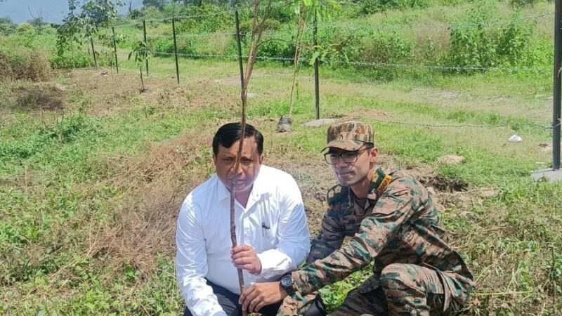 पौधे नहीं, भविष्य की हरियाली तैयार कर रहा एमडीडीए, रायपुर आर्मी फायरिंग रेंज में फलदार और जड़ी-बूटी वाले पौधों का रोपण