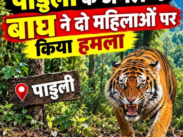 पाडुली के जंगल में बाघ ने दो महिलाओं पर किया हमला