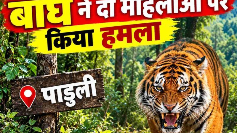 पाडुली के जंगल में बाघ ने दो महिलाओं पर किया हमला