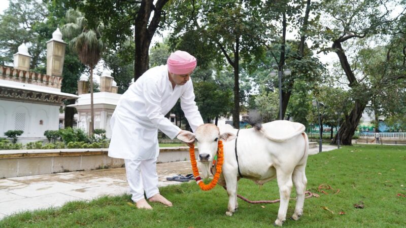 श्री गुरु राम राय विश्वविद्यालय में पहुंची दुनिया की सबसे छोटी नस्ल की नैनो गाय