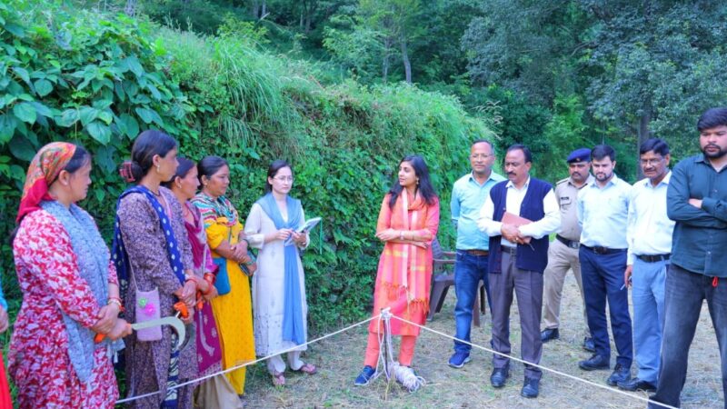 खेत में उतरीं डीएम स्वाति एस. भदौरिया, क्रॉप कटिंग से परखी गेहूं की उपज