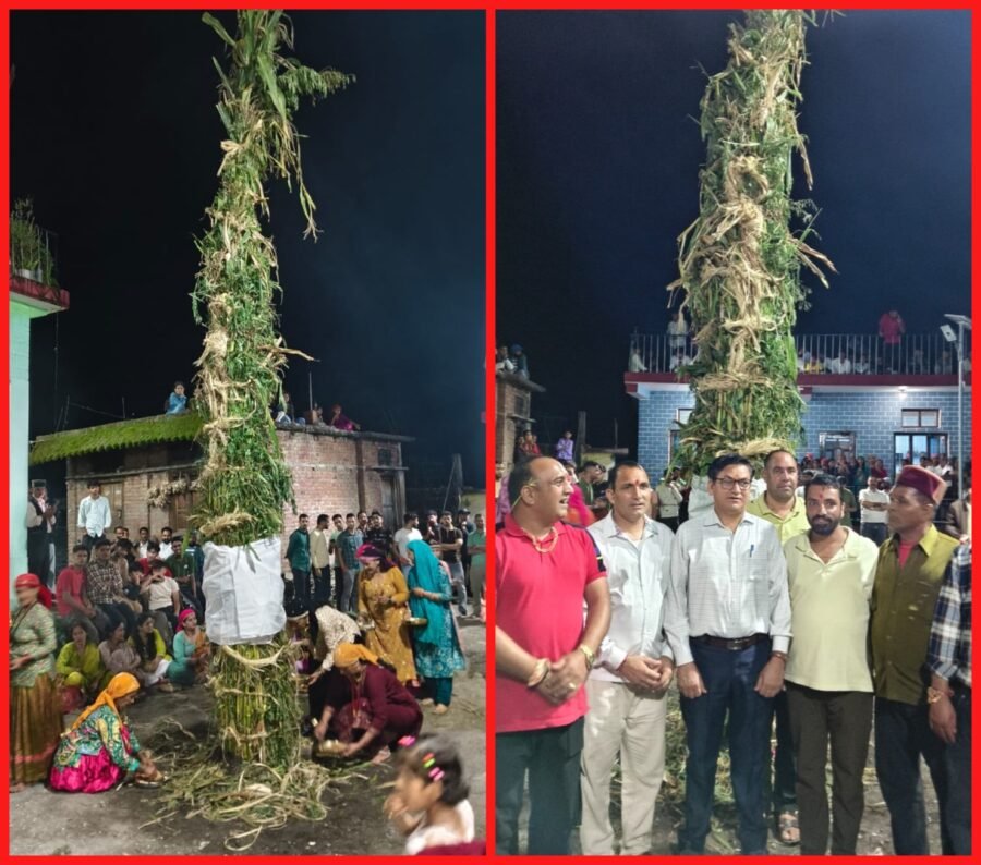 ‎एडीएम शैलेन्द्र सिंह नेगी ने मौगी और पाब गांव में पारंपरिक दुबड़ी लोक पर्व में किया प्रतिभाग, ‎दुबड़ी पर्व में गूंजे लोकवाद्य, सजी फसल-पत्तियों की दुबड़ी, एडीएम ने ग्रामीणों संग किया प्रकृति पूजन