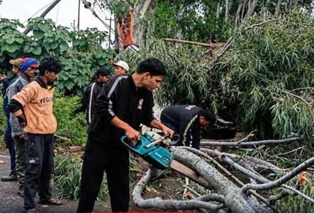 कोटद्वार : भाबर में पेड़ गिरने से एक की मौत, दूसरा गंभीर घायल