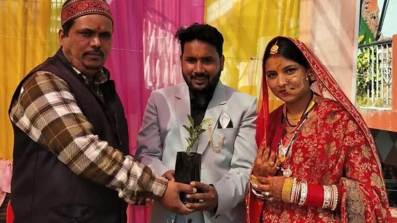 शादी की खुशियों के बीच रोपे फलदार पौधे, दिया पर्यावरण संरक्षण का संदेश