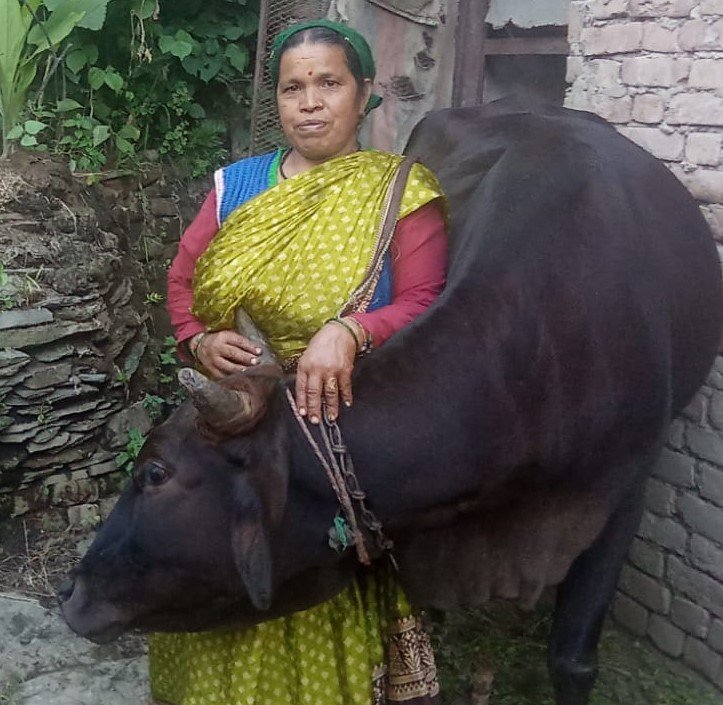 दूध के कारोबार से कमला ने बदली घर की तस्वीर