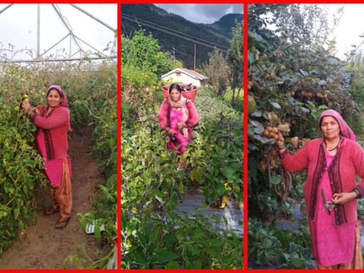 रीप परियोजना के सहयोग से पोखरी की विजया देवी बनीं आत्मनिर्भर, एकीकृत खेती से हर माह ₹25 हजार की कमाई