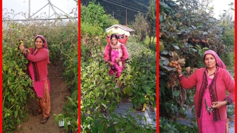 रीप परियोजना के सहयोग से पोखरी की विजया देवी बनीं आत्मनिर्भर, एकीकृत खेती से हर माह ₹25 हजार की कमाई