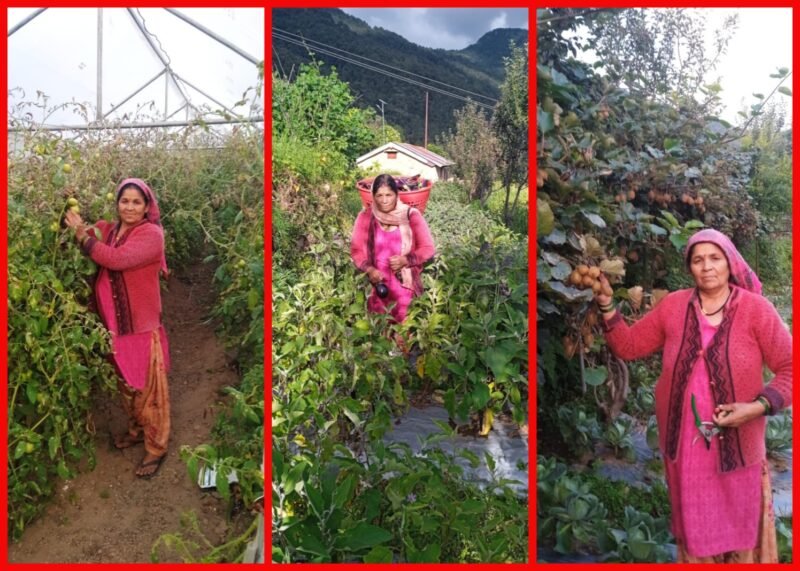 रीप परियोजना के सहयोग से पोखरी की विजया देवी बनीं आत्मनिर्भर, एकीकृत खेती से हर माह ₹25 हजार की कमाई